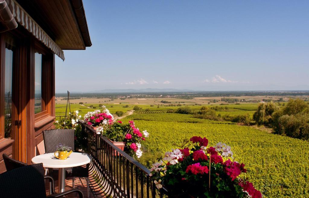Hotel Restaurant Au Riesling Zellenberg Ngoại thất bức ảnh